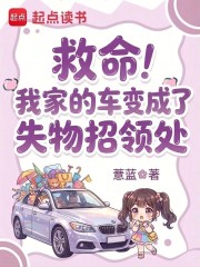 �������Ҽҵĳ������ʧ�����촦