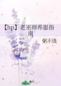 ��hp������ʦ����ָ��