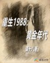����1988���ƽ����