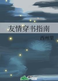 ���鴩��ָ��