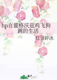 hp�ڻ������ȼ��ɹ���������