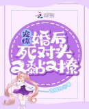 �豬���������ͷ�������