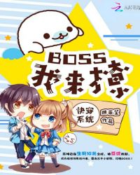 �촩ϵͳ��boss������