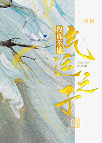 ���治������֮�ӣ����飩