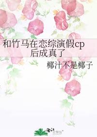�������������ݼ�cp�������