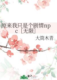 ԭ����ֻ�Ǹ�����npc�����ޣ�
