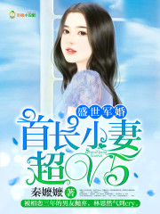 ʢ�����飺�׳�С�޳�V5