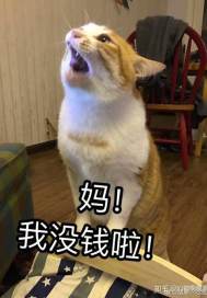 ����������ѧϰ