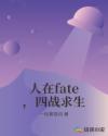 ����fate����ս����