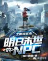 ����ĩ����NPC֮�ط�����