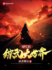 NPC�����������