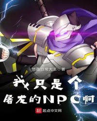 ��ֻ�Ǹ�������NPC��