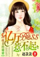 ���޵����ܣ�����BOSS�ǲ���