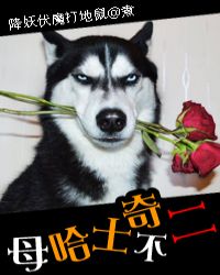 ĸ��ʿ�治����