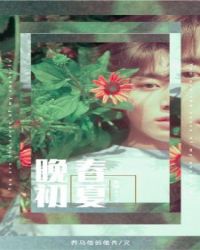 [����bts]��������